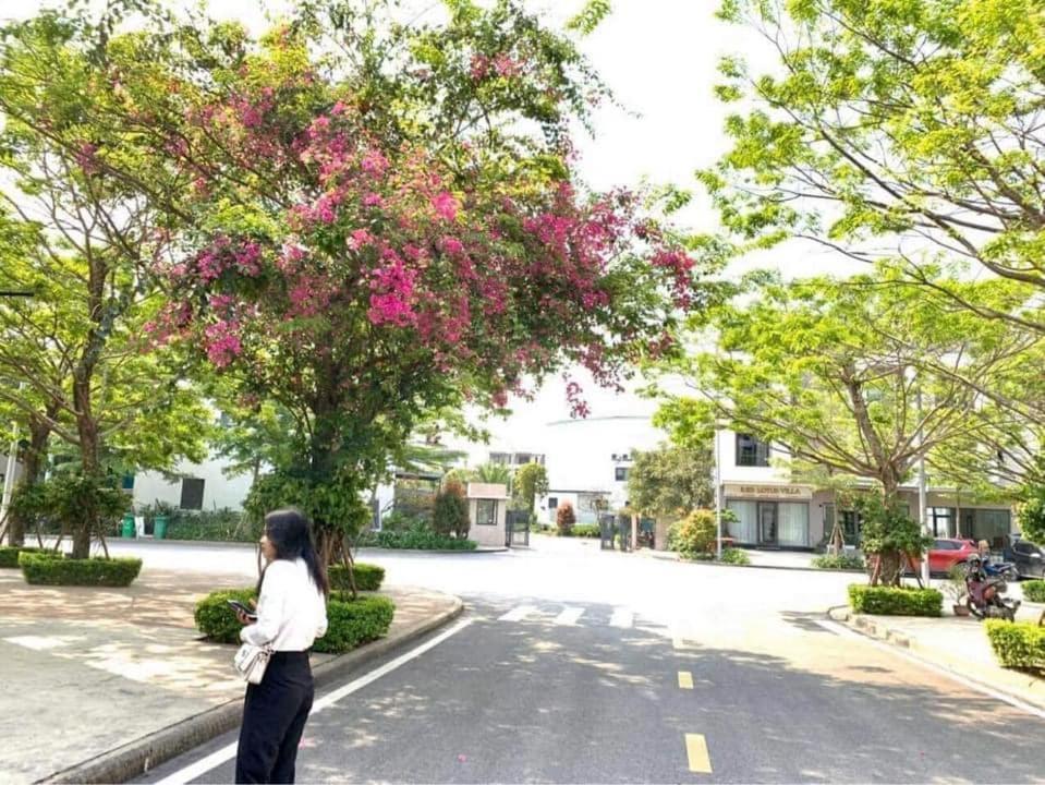 Haradise Suite Villa & Homestay Ha Long Zewnętrze zdjęcie